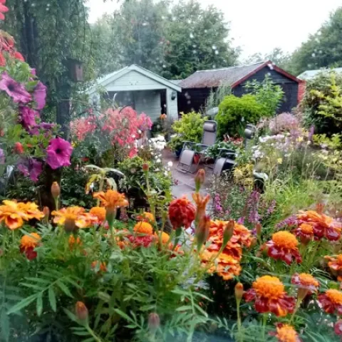 Lessons learned in the garden