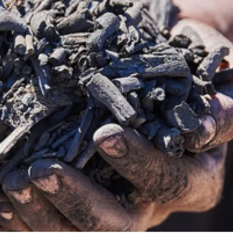 biochar