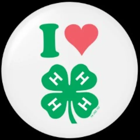 I <3 4H 