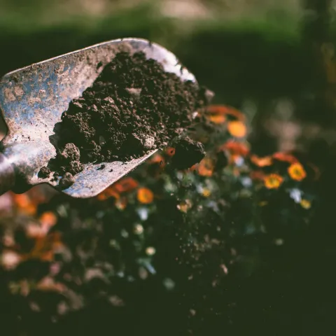 hand trowel with dirt on it