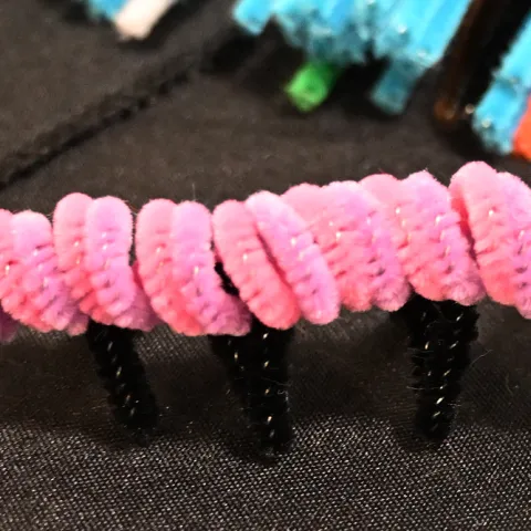 Pink pipevine caterpillar