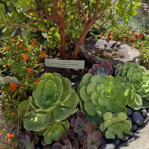 Master Gardeners teach sustainable gardening at the Sonoma Co Fair