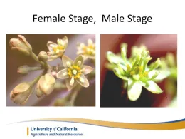 Slide10