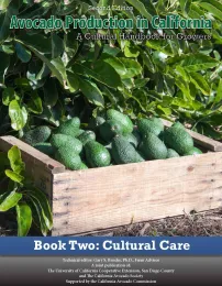 Book2
