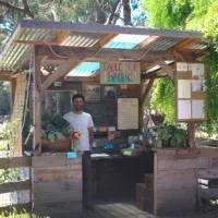 Farm Stands & U-pick