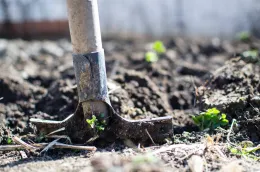 Soil