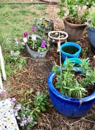 Stock seeds itself