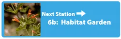 Station 6 Button