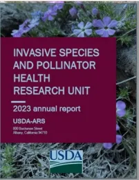 report cover