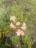 Picture11