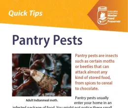 Pantry Pests Quick Tip Card (jpg 181.35 KB)