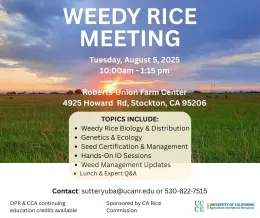 Weedy Rice Meeting