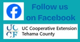 UCCETehama FB 