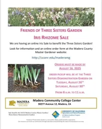 madera iris sale