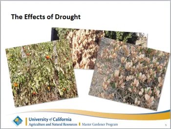 PowerPoint slide with the title,