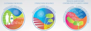 Pillars of Climate Smart Agriculture. FAO.