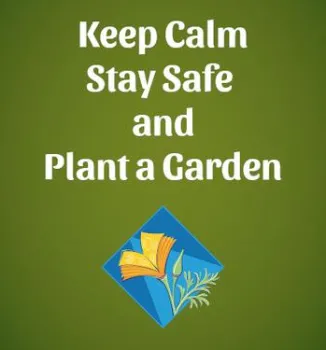 Stay Safe!