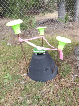 Picusan Trap