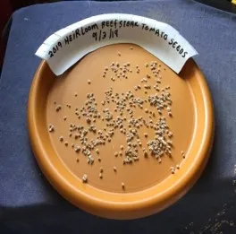 Orange plate labeled 