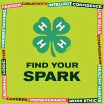 spark
