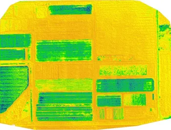 DREC False Color Composite