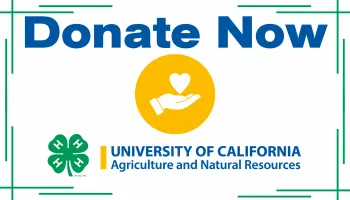 4-H Donate Now Logo