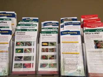 IPM Cards