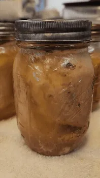 Pressure-canned chicken boiling on counter after being removed from canner.gif