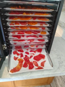 Skins in Dehydrator.jpg
