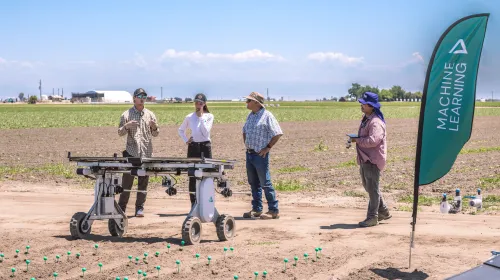 People stand in a field for a demonstration of a solar-powered robot providing chemical-free autonomous weed control