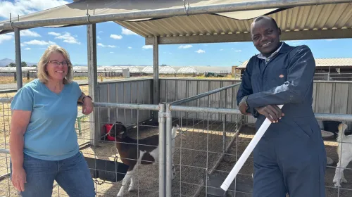 Two people pose by some goats