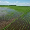 extreme weather food safety