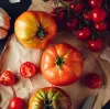 Tomatoes